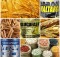 Glucides à base de céréales, légumineuses, pâtes