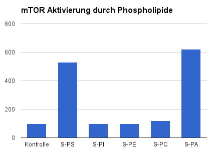 Activation de mTor par les phospholiqides