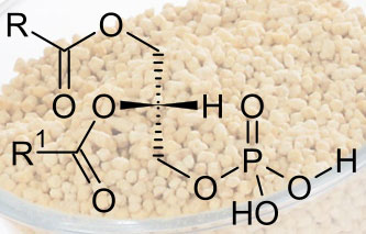 Phosphatidsäure