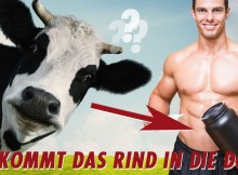 Comment la protéine de beef est produite