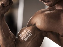 Effet de mémoire musculaire