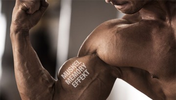 Effet de mémoire musculaire